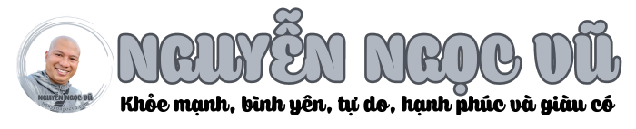 cropped-Nguyen-Ngoc-Vu-logo-ngang.png